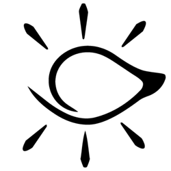 پلتفرم چشم